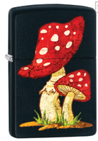 Zippo Lighters