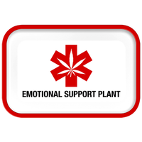 Metal Rolling Tray - 11.25"x7.5"