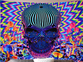 Tapestry - Psychedelic Skull Trippy Mushrooms 59x78