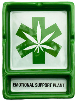 Ashtray  Emotional Support Plant