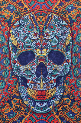 Tapestry - 3D Skull 60x90