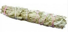 White Sage 9 Inch