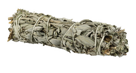 White Sage 4 Inch